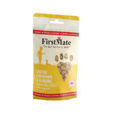 FirstMate Cage Free Chicken Meal & Blueberries Mini Trainers 8oz