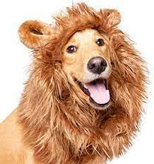 Pet Krewe Dog Costume Lion Mane