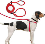 Harness Lead No Pull Escape Resistant Harness & Lead In One