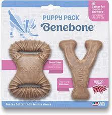 Benebone Dog Wishbone & Dental Puppy 2pk