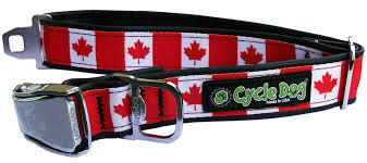 Cycle Dog Collar Metal Canada