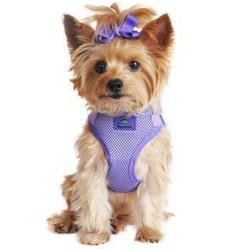 Doggie Design Harness Paisley Purple