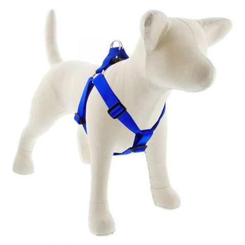 Lupine Step-In Harness Blue