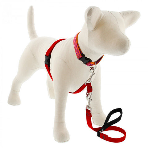 Lupine Harness No-Pull Red