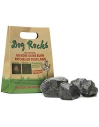 Dog Rocks 600grams Bulk