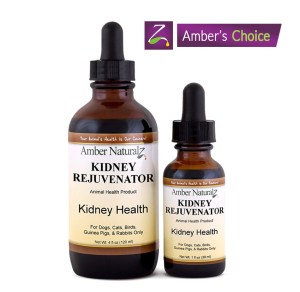 Amber Naturalz Kidney Rejuvenator 1fl oz