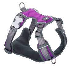 RedDingo Padded Dog Harness Purple